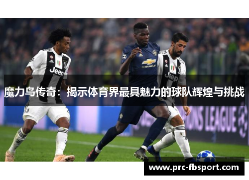 魔力鸟传奇：揭示体育界最具魅力的球队辉煌与挑战