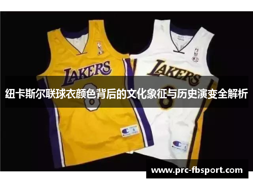 纽卡斯尔联球衣颜色背后的文化象征与历史演变全解析 纽卡斯尔联球衣颜色背后的文化象征与历史演变全解析