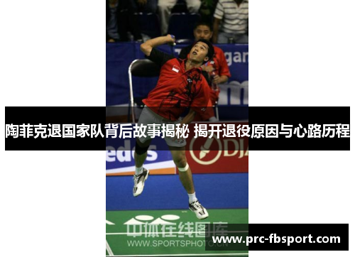 陶菲克退国家队背后故事揭秘 揭开退役原因与心路历程