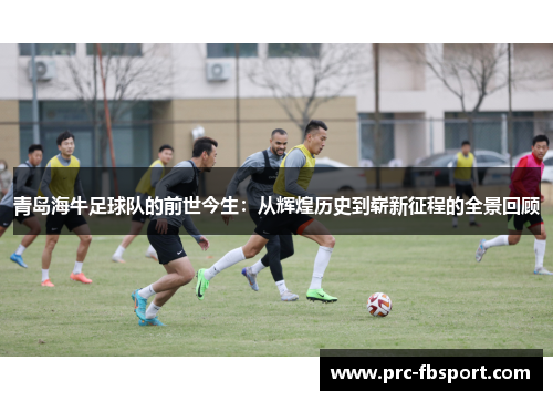 青岛海牛足球队的前世今生：从辉煌历史到崭新征程的全景回顾