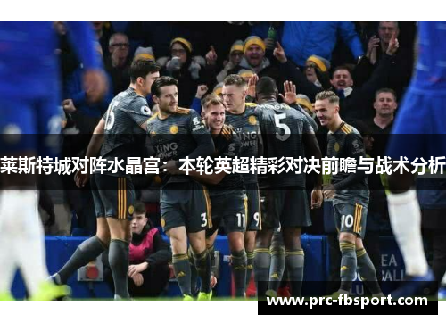 莱斯特城对阵水晶宫：本轮英超精彩对决前瞻与战术分析