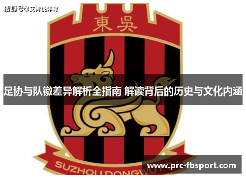 足协与队徽差异解析全指南 解读背后的历史与文化内涵