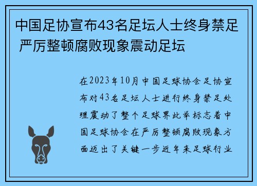 中国足协宣布43名足坛人士终身禁足 严厉整顿腐败现象震动足坛